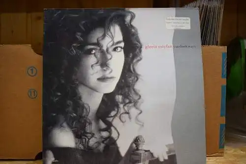 Gloria Estefan ‎– Cuts Both Ways