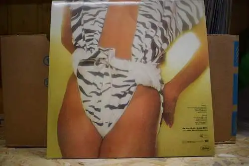 Diana Ross ‎– Why Do Fools Fall In Love