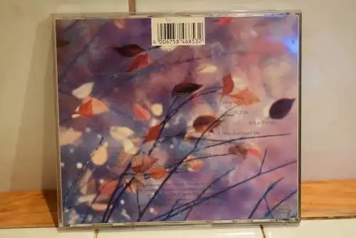 Erasure ‎– Wild!