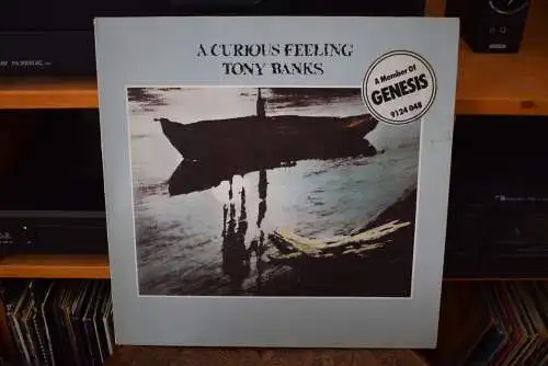 Tony Banks ‎– A Curious Feeling