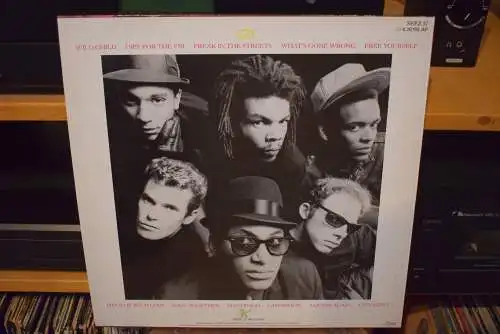 The Untouchables  ‎– Wild Child