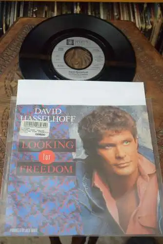 David Hasselhoff ‎– Looking For Freedom / Instr.