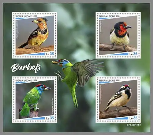 SIERRA LEONE 2023 ** KB Barbets Vögel Birds