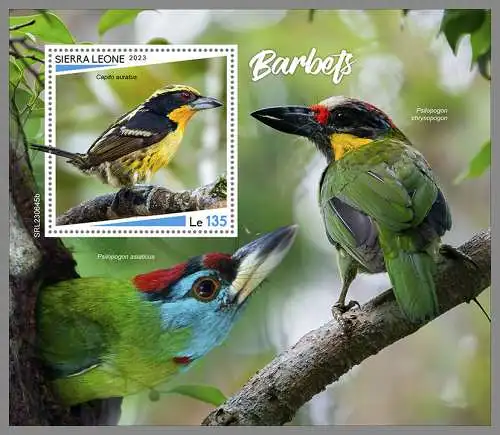 SIERRA LEONE 2023 ** BL Barbets Vögel Birds