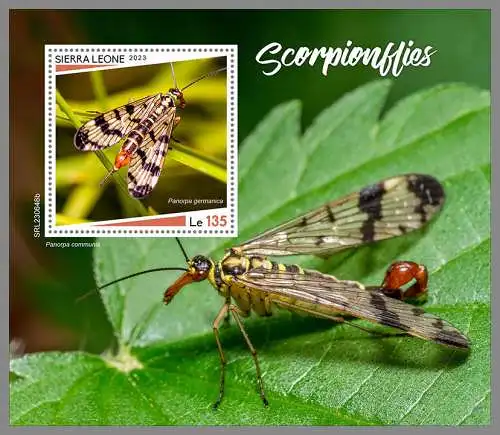 SIERRA LEONE 2023 ** BL Skorpionfliegen Scorpionflies