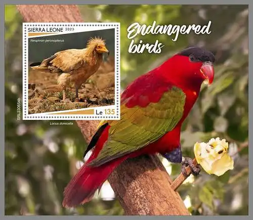 SIERRA LEONE 2023 ** BL Bedrohte Vögel Endangered Birds