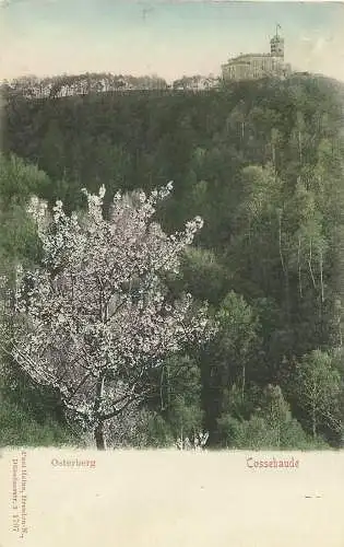 [Lithographie] AK Dresden Cossebaude am Osterberg Farblitho 1912. 