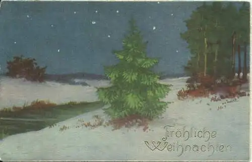[Glückwunschkarte] AK Weihnachten  Christmas  - Winterlandschaft mit Tannenbaum bei Nacht
Farbenphoto nach Lumière. 