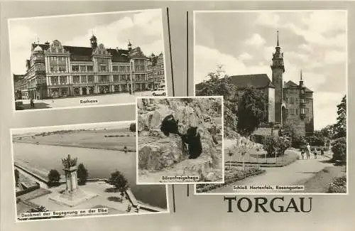 [Echtfotokarte schwarz/weiß] 2 AKs Torgau Elbe Mehrbild 4 Ansichten 1956 + 1966 DDR. 