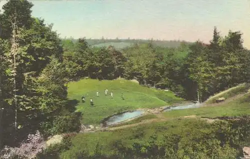 [Echtfotokarte farbig] AK Golf Green Pennsylvania Pocono Manor Inn 1943/48 USA. 