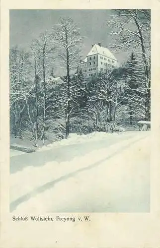 [Echtfotokarte schwarz/weiß] AK Freyung Schloss Wolfstein Winter 1925. 