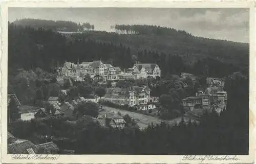 [Echtfotokarte schwarz/weiß] AK Wernigerode OT Schierke Ortsansicht mit Kolonialforscher-Marken im Paar. 