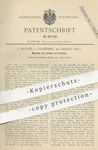 original Patent - G. Richter , Falkenberg / Grünau , 1888 , Schälen von Früchten | Kartoffeln , Gemüse , Landwirtschaft
