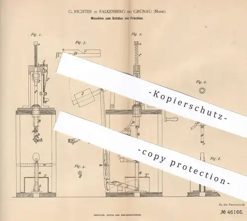 original Patent - G. Richter , Falkenberg / Grünau , 1888 , Schälen von Früchten | Kartoffeln , Gemüse , Landwirtschaft