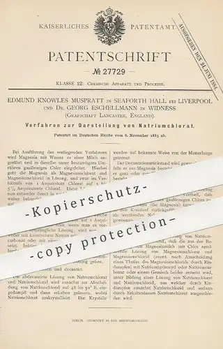 original Patent - Edmund Knowles Muspratt , Liverpool | Dr. Georg Eschellmann , Widness , England | Natriumchlorat