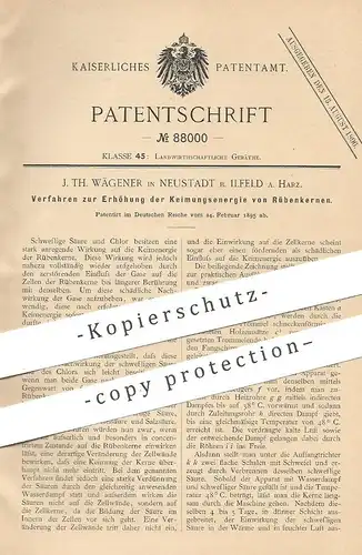 original Patent - J. Th. Wägener , Neustadt / Ilfeld / Harz , 1895 , Erhöhung der Keimungsenergie von Rüben | Saat