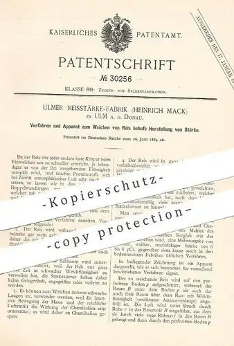original Patent - Ulmer Reisstärke Fabrik , Heinrich Mack , Ulm / Donau  1884 , Weichen von Reis durch Herst. von Stärke