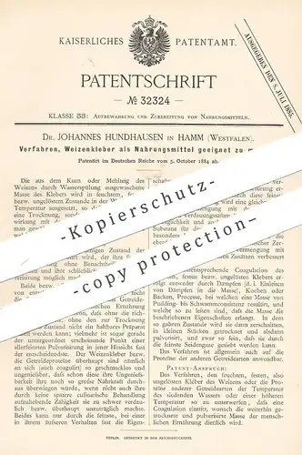 original Patent - Dr. Johannes Hundhausen , Hamm / Westfalen 1884 | Weizenkleber als Nahrungsmittel | Weizen , Getreide