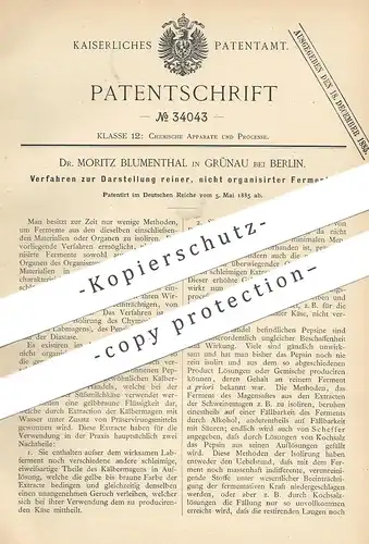 original Patent - Dr. Moritz Blumenthal , Berlin / Grünau , 1885 , Darst. reiner, nicht organisierter Fermente | Chemie