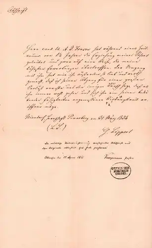 Dokument Adel , Niendorf b. Pinneberg , Hamburg Ottensen 1854 , G. Lippert  !!!