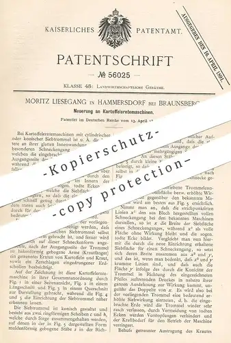 original Patent - Moritz Liesegang , Hammersdorf / Braunsberg 1890 , Kartoffelerntemaschine | Kartoffel - Erntemaschine