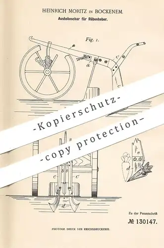 original Patent - Heinrich Moritz , Bockenem / Hannover , 1900 , Aushebeschar für Rübenheber | Rüben , Zucker | Pflug !!