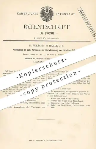 original Patent - R. Fölsche , Halle / Saale , 1881 , Entwässerung von frischem Stichtorf | Torf | Brennstoff | Kohle !