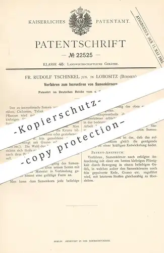 original Patent - Fr. Rudolf Tschinkel , Lobositz / Böhmen , 1882 , Inkrustieren der Samenkörner | Saat | Tabak , Mohn !