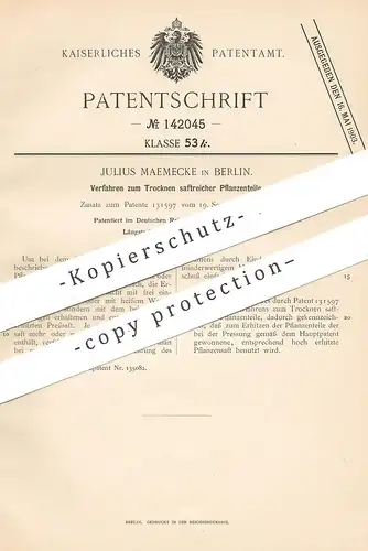 original Patent - Julius Maemecke , Berlin , 1902 , Trocknen saftreicher Pflanzenteile | Pflanzen - Presse | Darre !!
