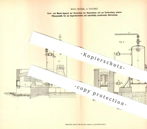 original Patent - Max Dresel , Dalbke , 1878 , Herstellung von Holzcellulose | Holz , Papier , Cellulose , Pflanzenfaser