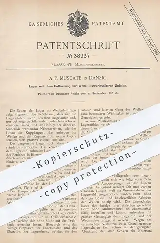 original Patent - A. P. Muscate , Danzig , 1886 , Lager mit auswechselbaren Schalen | Lagerschale , Maschinen , Kupplung