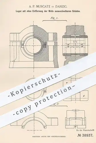 original Patent - A. P. Muscate , Danzig , 1886 , Lager mit auswechselbaren Schalen | Lagerschale , Maschinen , Kupplung