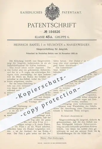 original Patent - Heinrich Bartel I , Neuhöfen / Marienwerder  1905 , Säugevorrichtung für Jungvieh | Tierzucht , Kälber