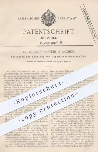 original Patent - Dr. Richard Hartleb , Aachen 1899 , Züchtung von Leguminose Bakteroïden | Nobbe & Hiltner | Bakterien