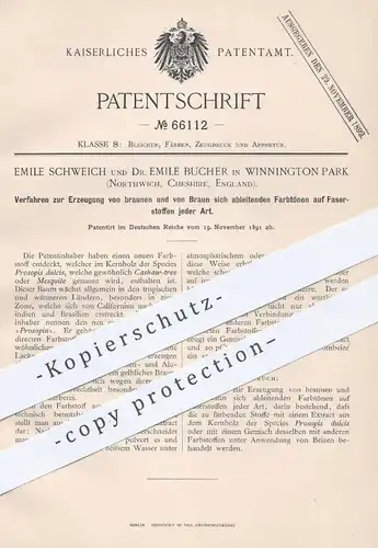 original Patent - Emile Schweich , Dr. Emile Bucher , Winnington Park , Northwich Cheshire , 1891 , braune Faser | Braun