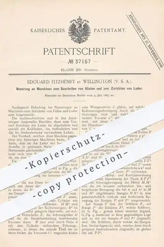 original Patent - Edouard Fitzhenry , Wellington , USA , 1885 , Bearbeiten von Haut , Häuten , Leder , Fell | Gerberei !