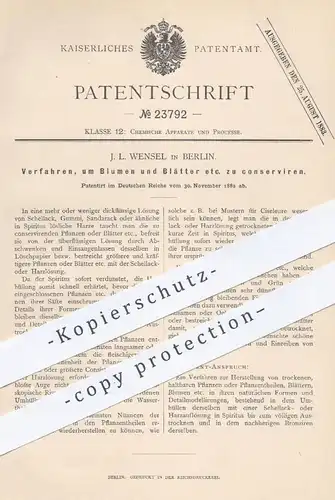 original Patent - J. L. Wensel , Berlin , 1882 , Konservieren der Blumen u. Blätter | Konservierung mit Schellack , Harz