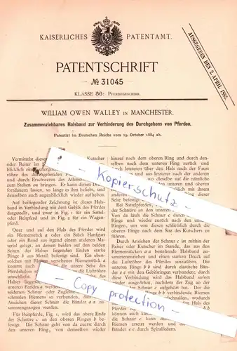 original Patent -  William Owen Walley in Manchester , 1884 , Pferdegeschirr !!!
