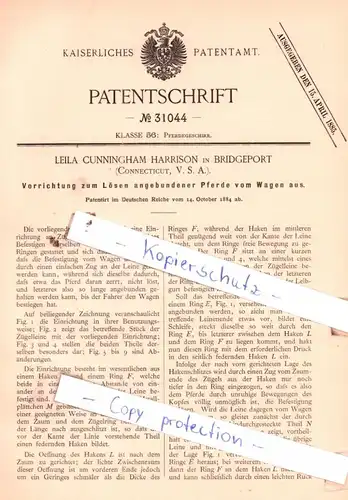 original Patent -  Leila Cunningham Harrison in Bridgeport , 1884 , Pferdegeschirr !!!
