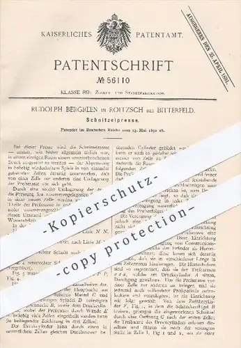 original Patent - Rudolph Bergreen , Roitzsch / Bitterfeld , 1890 , Schnitzelpresse | Presse , Pressen , Zucker !!!