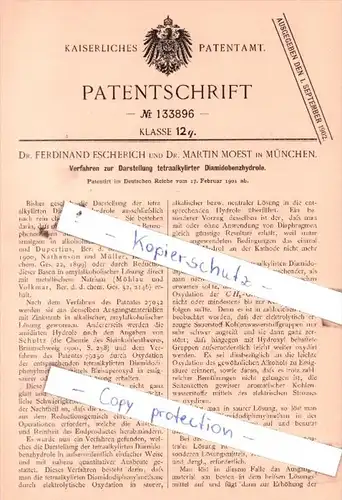 Original Patent  -  Dr. Ferdinand Escherich und Martin Moest in München , 1901 , !!!