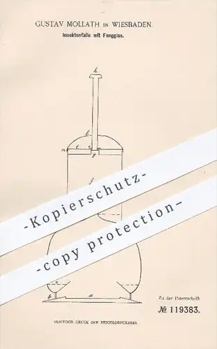 original Patent - Gustav Mollath in Wiesbaden , 1900 , Insektenfalle mit Fangglas , Insektenfänger , Insekten , Fliegen