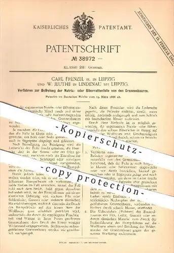 original Patent - C. Frenzel , Leipzig / W. Jeuthe , Lindenau , 1886 , Nutriafell , Biberrattenfell , Tierfelle , Fell