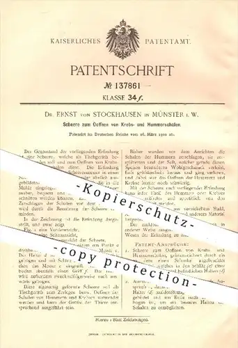 original Patent - Dr. Ernst von Stockhausen , Münster , 1902 , Schere zum Öffnen von Krebs- u. Hummerschalen , Scheren !