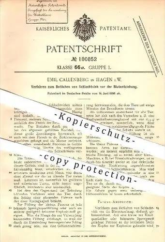 original Patent - Emil Callenberg in Hagen , 1906 , Betäuben von Schlachtvieh vor der Blutentziehung , Schlachterei !!