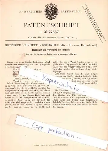 Original Patent  - Gottfried Schneider in Bischweiler , Kreis Hagenau, Unter-Elsass , 1883 , !!!