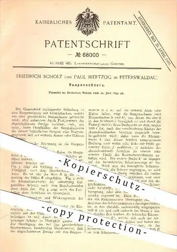 original Patent - Friedrich Scholz &  Paul Hertzog , Peterswaldau , 1892, Raupenschere , Baumschere , Astschere , Schere