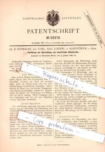 Original Patent - Dr. B. Schmaltz und Carl Aug. Loewig in Schönebeck a. Elbe , 1883 , Soda !!!