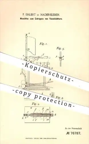 original Patent - F. Ehlert in Hadersleben , 1893 , Entrippen von Tabakblättern , Tabak , Zigarre , Zigarren , Tabak !