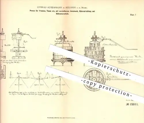 original Patent - C. Schiffmann , Mülheim , Mosel , 1881 , Presse für Trauben , Tabak mit Hebelwerk, Rührvorrichtung !!